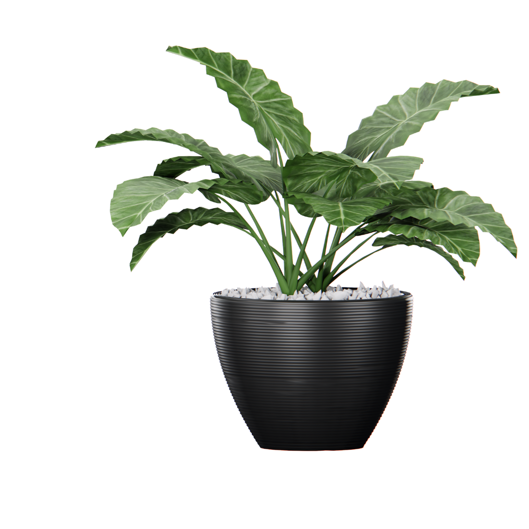 PetalPath Peace Lily Plant - Image 3